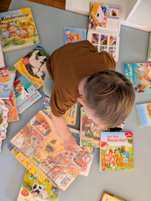 Bücher schauen