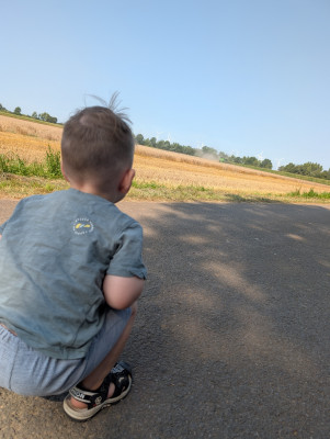 Mähdrescher zuschauen